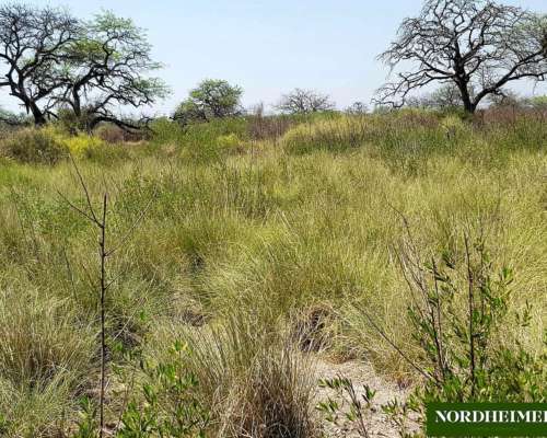 El Nochero, 9 de Julio, Santa FE - 30.000 Ha