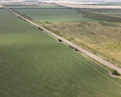 525 Hectáreas Agrícolas Sobre Ruta, San Marcial.