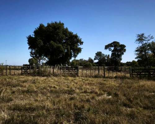 Campo de 3 H Cerca de Solis . con Corrales y Bebederos /