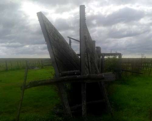 Campo en Arrendamiento en Dolores 424 Ha 4 Potreros