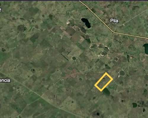 Venta Campo Ganadero 1400 Ha Pila BS AS