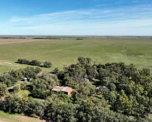 3780 Has. Campo Mixto S/ Ruta en Alpachiri, la Pampa