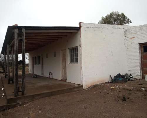 Campo Apto Coto de Caza
