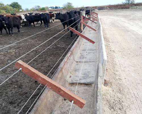 Comedero para Feedlot de Hormigón Armado