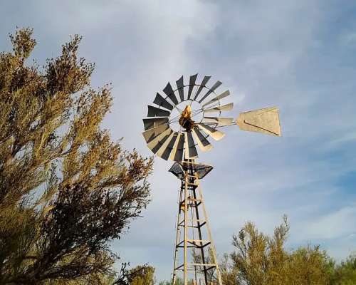 Campo en Venta: la Cruz del Yugo la PAZ Mendoza – 4500 Ha