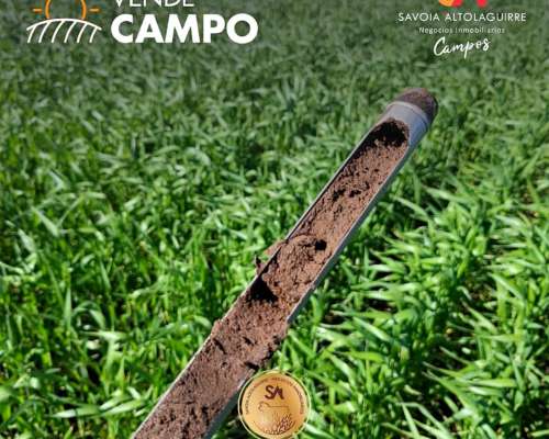 Vende: Campo Agrícola de 430 Hectáreas. Trenque Lauquen
