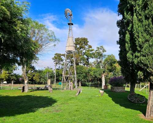 Campo Productivo de 67 Ha en Venta en Baradero Sobre Ruta