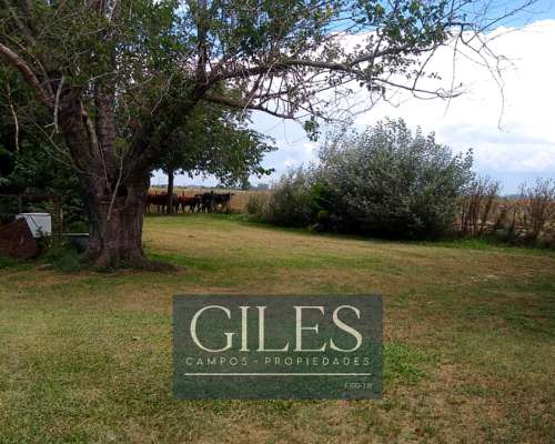 Campo Mixto con Mejoras Sánchez San Nicolás