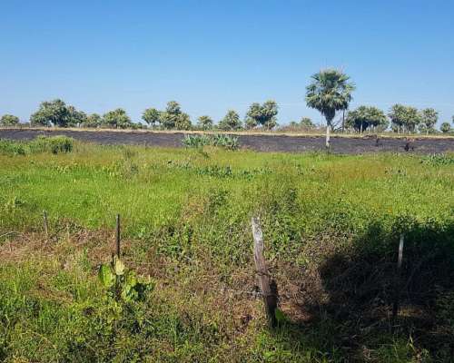 3200 Hectáreas en Departamento Pilcomayo Formosa