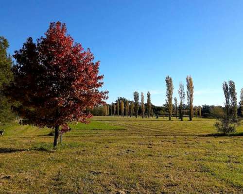 Lote N23 Barrio Privado los Girasoles