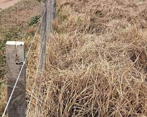 En Venta Campo Mixto Oportunidad de Inversión y Rentabilidad