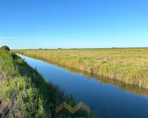262 Ha a 12 km de González Moreno, Provincia de Buenos Aires