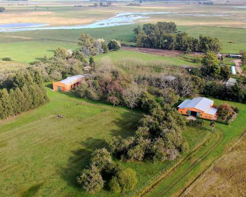 48 Has en Punta Indio, BS. AS. - Agrícola/haras - Venta