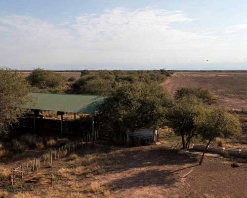 Pcia. de Salta - Apolinario Saravia 6390 Has