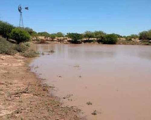 Oferta VDO Campo Norte de Cordoba 9700has