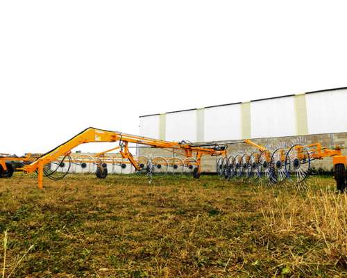 Rastrillo Grosspal de 18 Estrellas