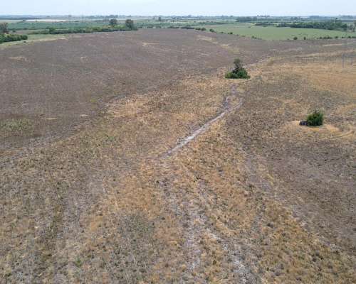 115 Hectáreas Agrícolas Sobre Ruta, Caseros Entre Ríos.
