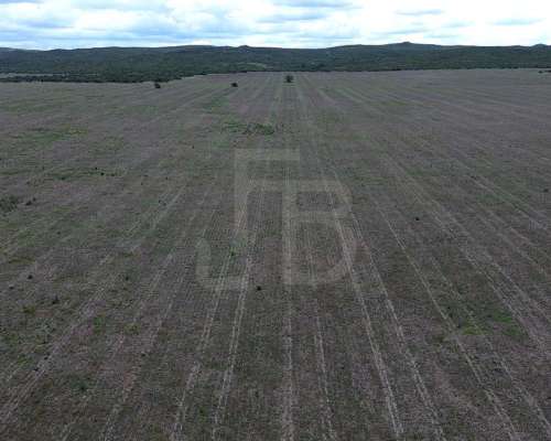 Campo Mixto en Venta- 3.068 Ha en San Pedro Norte, Córdoba