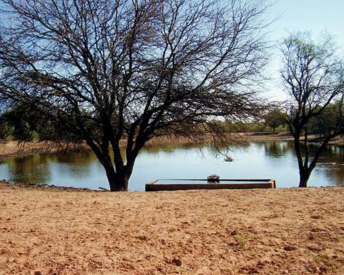 Vendo 20.000 Ha en la Rioja Desarrollo Agricola Ganadero