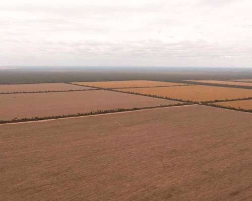 Pcia. de Salta - el Quebrachal 645 Has