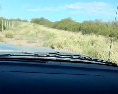 Campo en Venta: la Cruz del Yugo la PAZ Mendoza – 4500 Ha