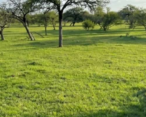 Estancia Mixta. Federal. Entre Rios
