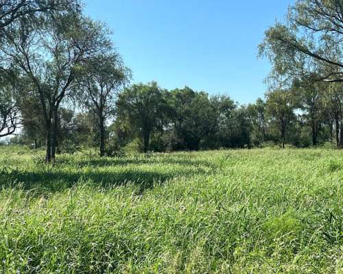 6330 Hectáreas Ganaderas el Tuscal Córdoba