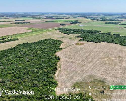 89 Has en Venta - Pcia del Chaco, las Breñas