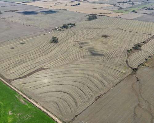 Campo Agrícola 200 Hectáreas