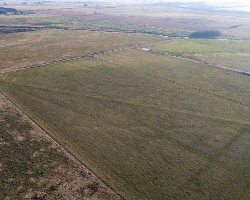 Campo en Venta en Marcos PAZ 48ha