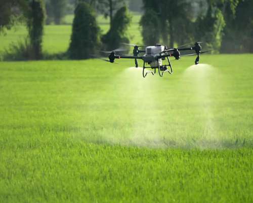 Dron Pulverizador DJI Agras T50 Kit Completo - 120 Has/dia