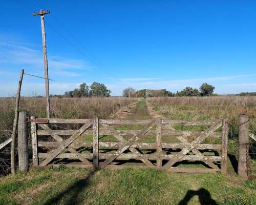 Chacrita con Casa Tradicional en Venta