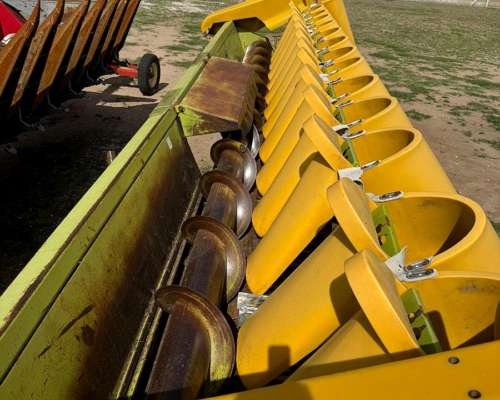 Maicero Allochis de 14 a 52