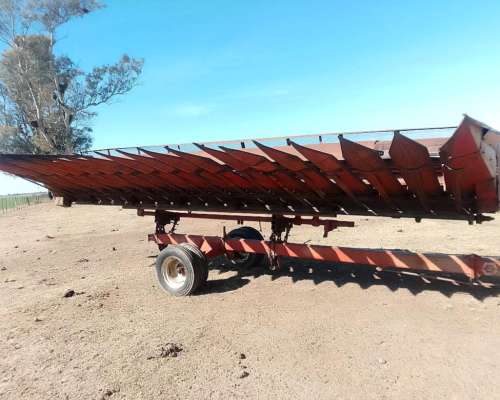 Girasolero Mainero 12 A52cm