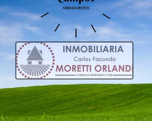 127 Ha Villaguay. Agrícolas