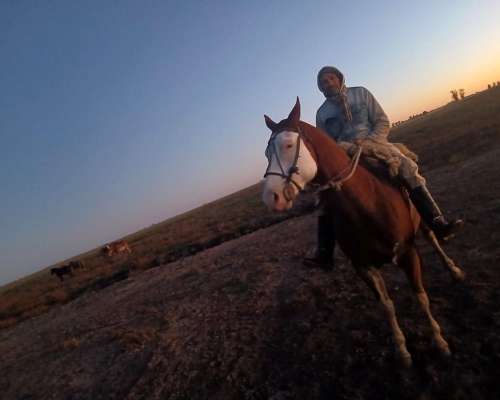 Puestero, Casero, Tambero Etcétera