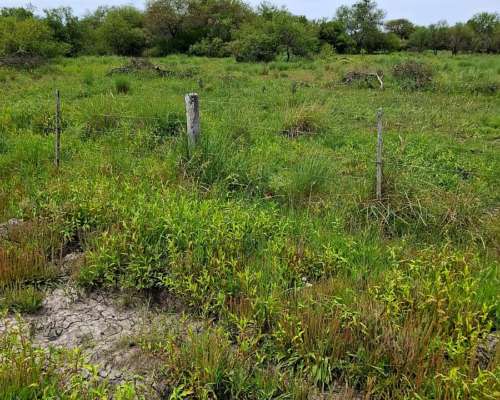 600 Has Ganaderas en Vera para Aprovechar