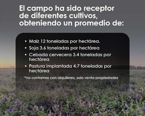 Vendo Campo Bajo Riego PTO X Hacienda
