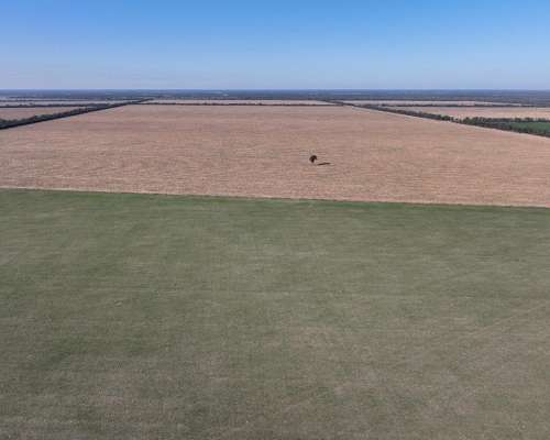 Averías, Taboada, Santiago del Estero - 1.625 Ha