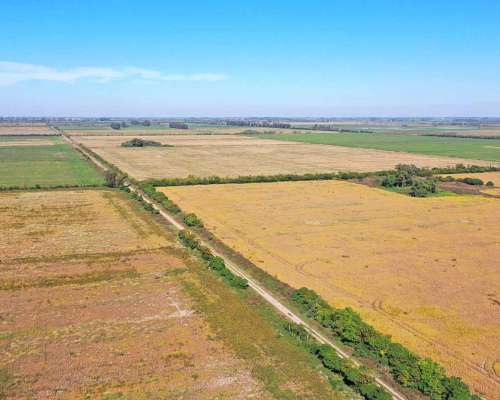 Pcia. de Santa FE - Colonia Raquel 103 Has