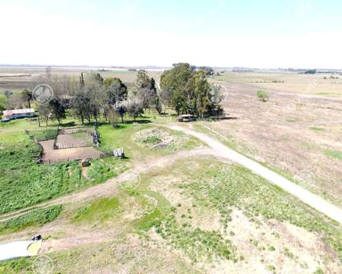 Chacra en Venta 34 Has en Lezama. Ideal Producir y Disfrutar