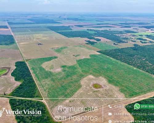 105 Has en Venta - Pcia del Chaco, Campo Largo