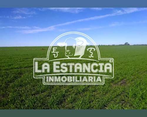 89 Has Agrícolas en Maria Grande
