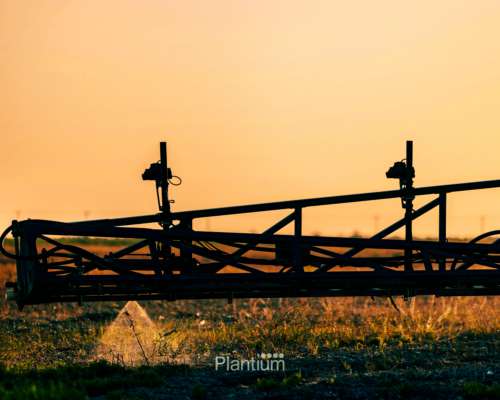 Ocuweed Detección de Malezas por Visión con IA