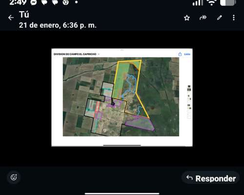1100 Hectáreas Ganaderas Dueño Directo Sobre Ruta