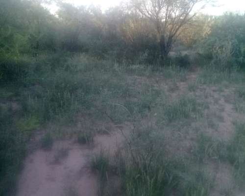 Alquiler para Siembra, Candelaria