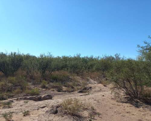 Campo de Monte en Caleu Caleu