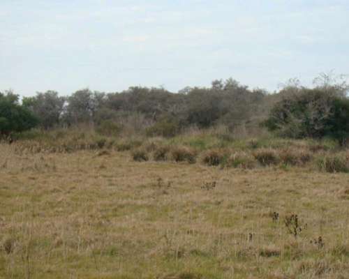 94 Has Ganaderas en Punta Indio, Provincia de Buenos Aires