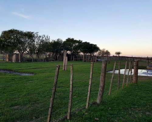 La Cigueña, Vera, Santa FE - 4.000 Ha
