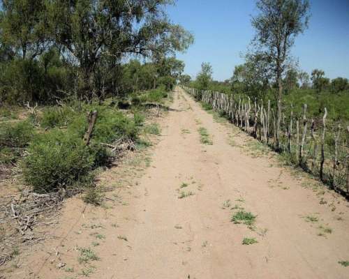 Campo Ganadero - Listo para Escriturar